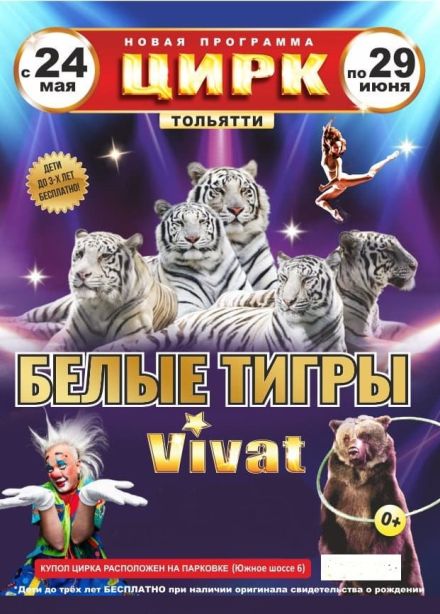 Цирк «VIVAT»