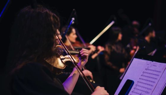Neo Classic Orchestra. Вселенная Гарри Поттера при свечах