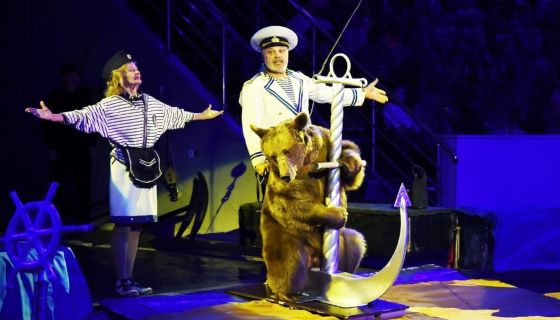 Цирк-шапито «Арена-Ягуар». Шоу «Летучий корабль»