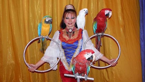 Цирк-шапито «Арена-Ягуар». Шоу «Летучий корабль»