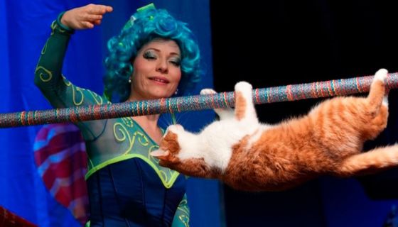 Театр кошек Куклачёва. Коты спасают мир
